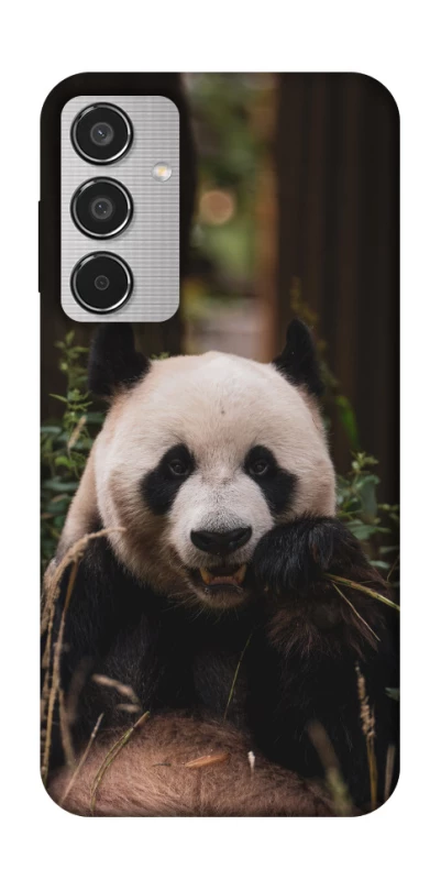 Чехол на Samsung Galaxy M35 Панда фото 1 из 1