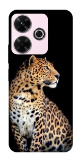 Чехол на Xiaomi Poco M6 4G Leopard v2 фото 1 из 1