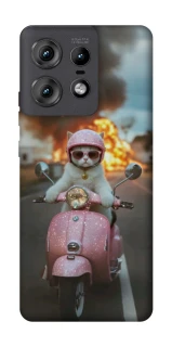 Чохол на Motorola Edge 50 Pro Exploding Kittens ver.3 фото 1 з 1