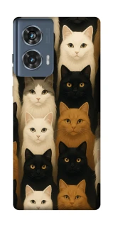 Чохол на Motorola Edge 50 Colorful Cat Collage фото 1 Чохол на Motorola Edge 50 Colorful Cat Collage фото 1 з 1