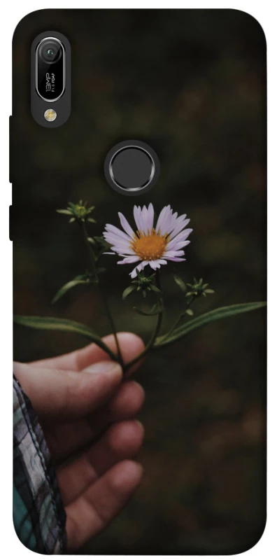 Чехол на Huawei Y6 (2019) Ромашка v4 фото 1 из 1