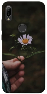 Чехол на Huawei Y6 (2019) Ромашка v4 фото 1 из 1