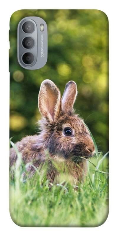 Чехол на Motorola Moto G31 Кролики фото 1 из 1