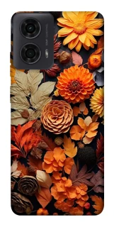 Чехол на Motorola Moto G24 Dreams фото 1 из 1