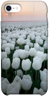 Чехол на Apple iPhone SE (2020) Flowers v1 фото 1 Чехол на Apple iPhone SE (2020) Flowers v1 фото 1 из 1