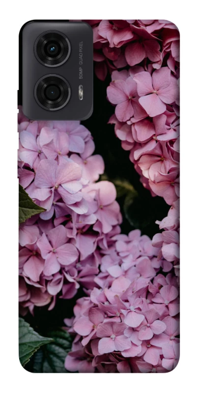 Чохол на Motorola Moto G24 Рожеві гартензії фото 1 з 1