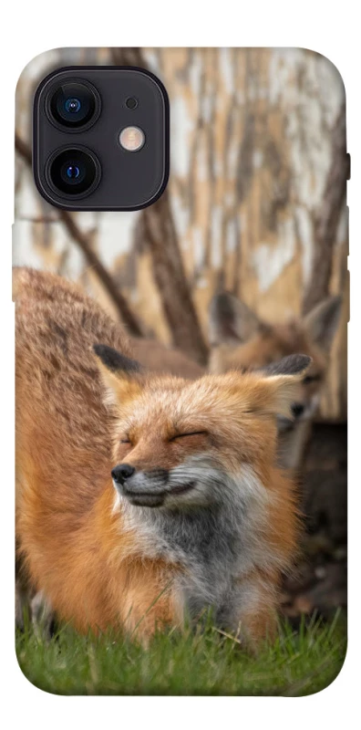 Чохол на Apple iPhone 12 mini (5.4") Лисиця фото 1 з 1