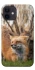Чохол на Apple iPhone 12 mini (5.4") Лисиця фото 1 з 1