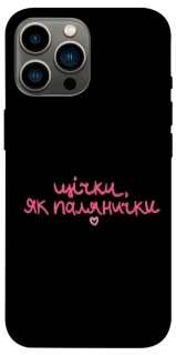 Чехол на Apple iPhone 12 Pro Max (6.7") Щічки, як палянички фото 1 из 1