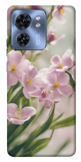 Чохол на Motorola Edge 40 Spring фото 1 з 1