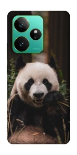 Чехол на Realme GT 7 Панда фото 1 из 1