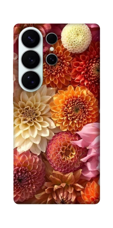 Чохол на Samsung Galaxy S26 Pro Bouquet фото 1 з 1