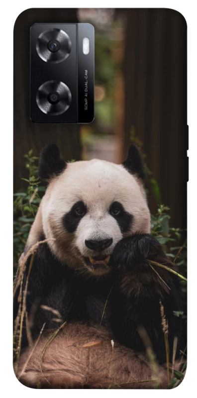 Чехол на Oppo A77s Панда фото 1 из 1