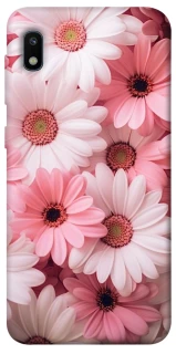 Чехол на Samsung Galaxy A10 (A105F) Розовые цветы v2 фото 1 из 1