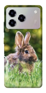 Чехол на ZTE Blade A76 Кролики фото 1 из 1