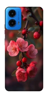 Чохол на Motorola Moto G45 Flowers v28 фото 1 з 1