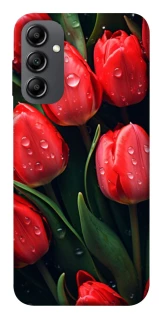 Чохол на Samsung Galaxy A14 4G/5G Червоні тюльпани фото 1 Чохол на Samsung Galaxy A14 4G/5G Червоні тюльпани фото 1 з 1