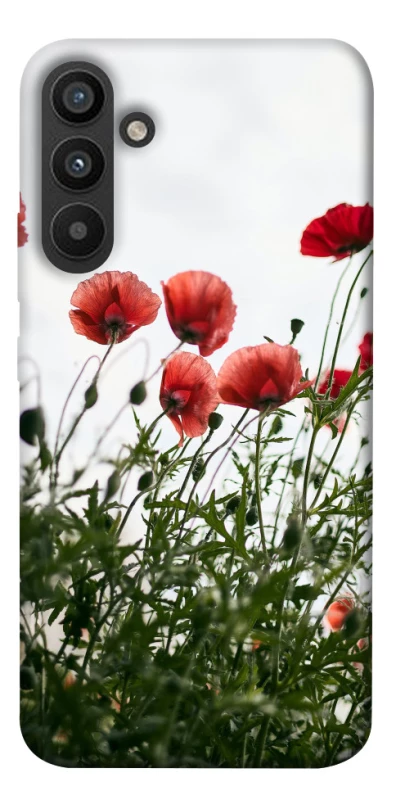 Чехол на Samsung Galaxy A34 5G Поле маков фото 1 из 1