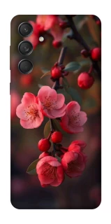 Чохол на Samsung Galaxy M55 Flowers v28 фото 1 з 1