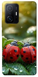 Чехол на Xiaomi 11T / 11T Pro Flowers v23 фото 1 из 1