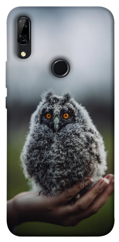 Чохол на Huawei P Smart Z Совеня фото 1 з 1