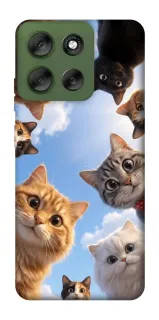 Чехол на Motorola Moto G56 5G Cats фото 1 из 1
