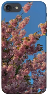 Чохол на Apple iPhone 7 / 8 (4.7") Flowers v4 фото 1 з 1