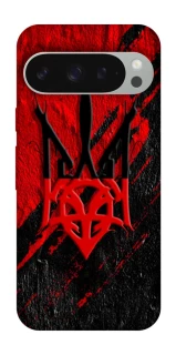 Чохол на Google Pixel 10 Pro XL Герб v17 фото 1 з 1