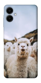 Чохол на Samsung Galaxy A06 Лама фото 1 з 1