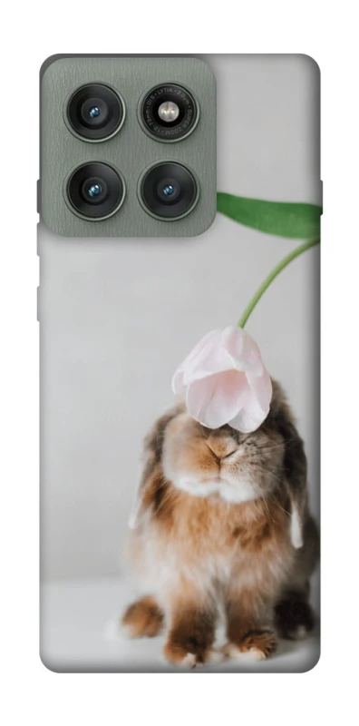 Чохол на Motorola Edge 60 Pro Bunny фото 1 з 1