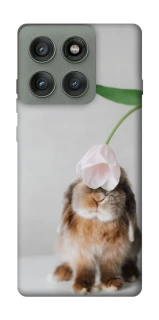 Чохол на Motorola Edge 60 Pro Bunny фото 1 з 1