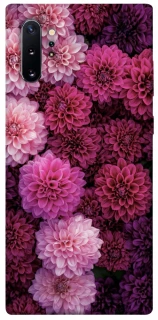 Чехол на Samsung Galaxy Note 10 Plus Garden1 фото 1 из 1