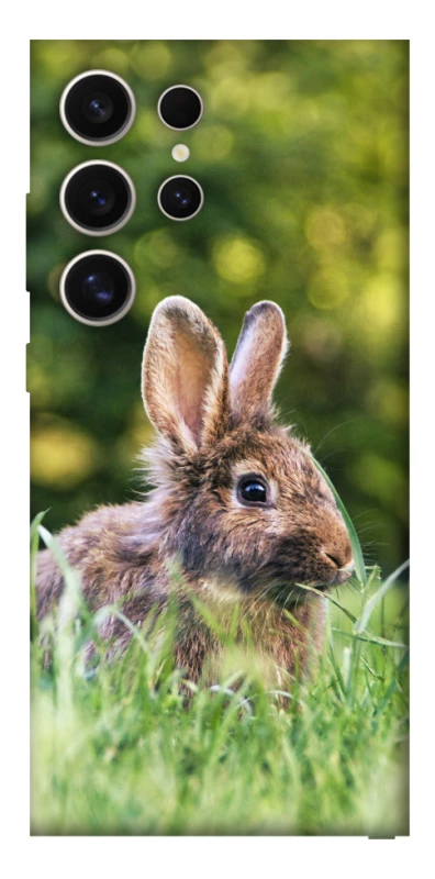 Чехол на Samsung Galaxy S25 Ultra Кролики фото 1 из 1