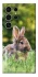Чехол на Samsung Galaxy S25 Ultra Кролики фото 1 из 1