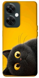 Чохол на OnePlus Nord CE 3 Lite This is Cat фото 1 з 1
