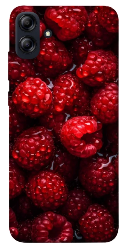 Чохол на Samsung Galaxy A04e Малинка фото 1 з 1