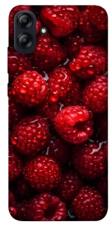 Чехол на Samsung Galaxy A04e Малинка фото 1 из 1