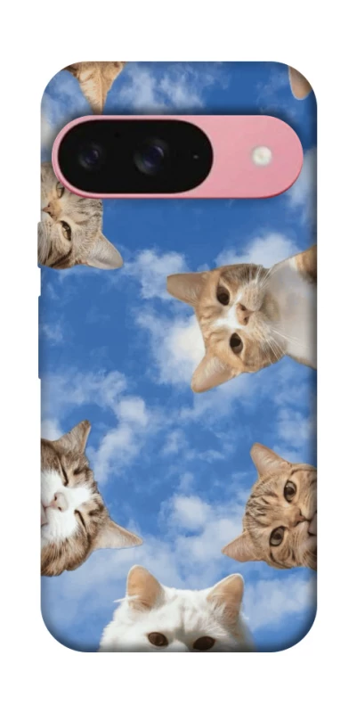 Чохол на Google Pixel 9 Сats фото 1 з 1