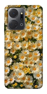 Чехол на Huawei Honor X7a Camomile фото 1 из 1