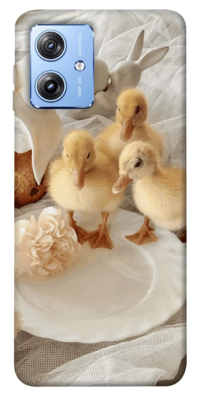 Чохол на Motorola Moto G84 Easter Vibes фото 1 з 1