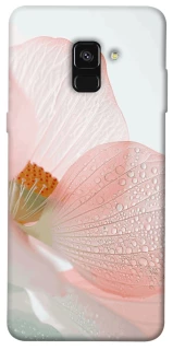 Чехол на Samsung A530 Galaxy A8 (2018) Flowers zon фото 1 из 1