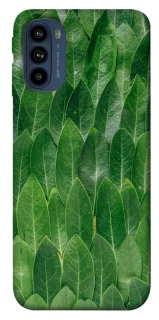 Чохол на Motorola Moto G41 Листя фото 1 з 1