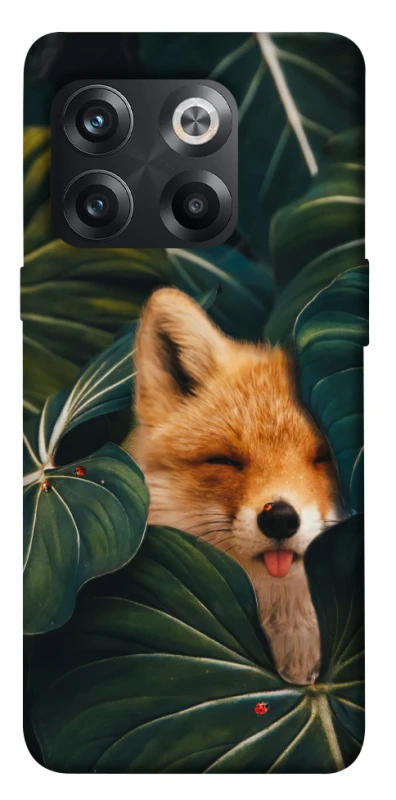 Чехол на OnePlus 10T Fox фото 1 из 1
