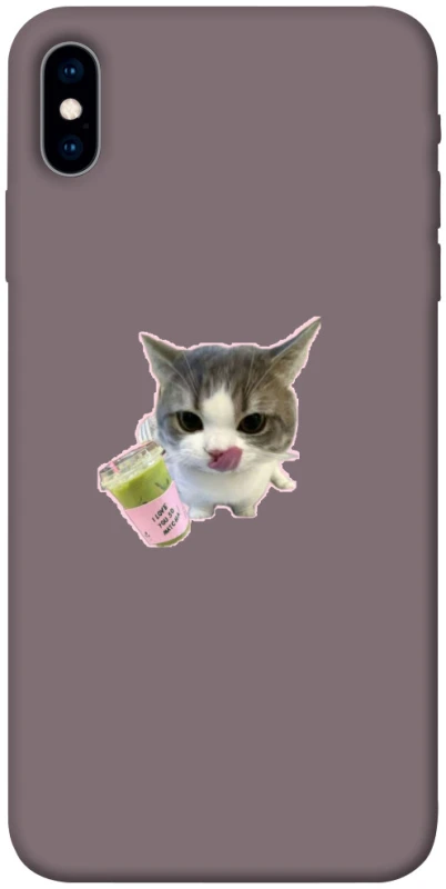 Чехол на Apple iPhone X (5.8") cat matcha фото 1 из 1
