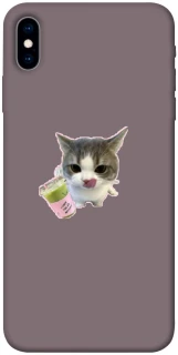 Чохол на Apple iPhone X (5.8") cat matcha фото 1 з 1