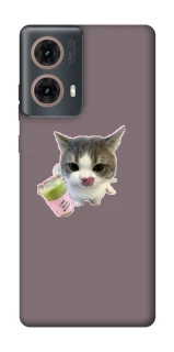 Чохол на Motorola Moto G85 cat matcha фото 1 з 1