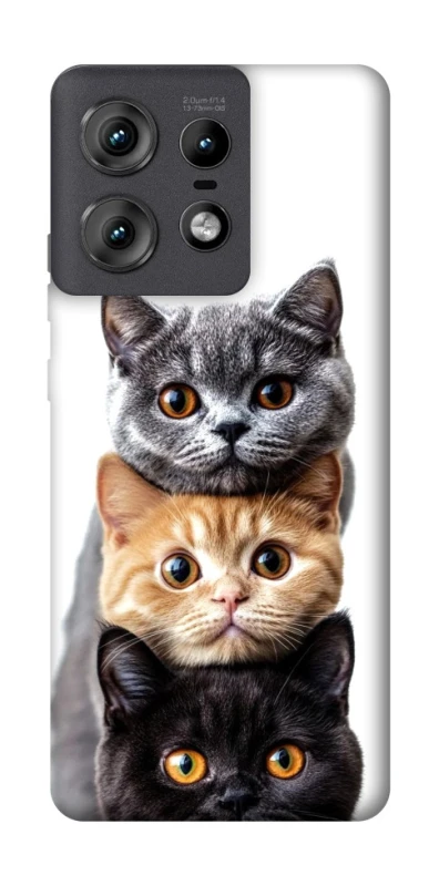 Чохол на Motorola Edge 50 Pro Гарні котики фото 1 з 1