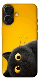 Чохол на Apple iPhone 17 (6.3") This is Cat фото 1 з 1