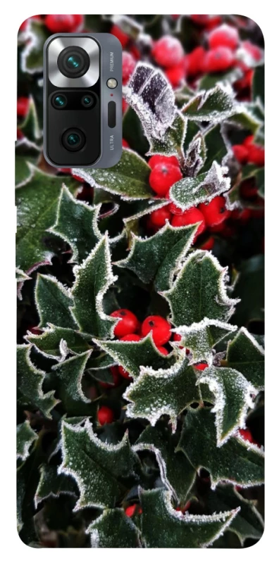 Чехол на Xiaomi Redmi Note 10 Pro Новогодний v32 фото 1 из 1