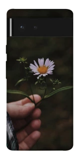 Чехол на Google Pixel 6 Ромашка v4 фото 1 из 1